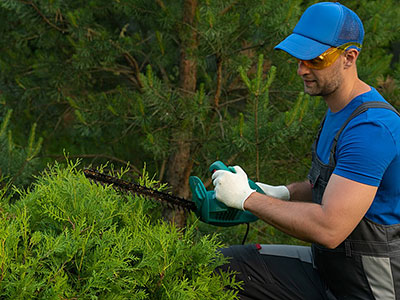 About Auburn Irrigation, Auburn, AL About Auburn Irrigation, Auburn, AL