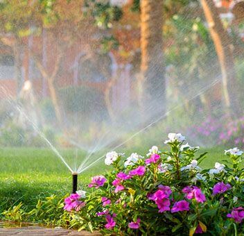 Landscaping Design